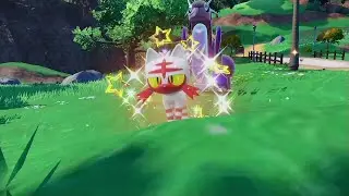 Hatching Shiny Litten - 586 Eggs