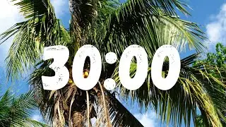 30 Minute Timer with Palm Tree, Birds and Relaxing Waves | Summer Vibes