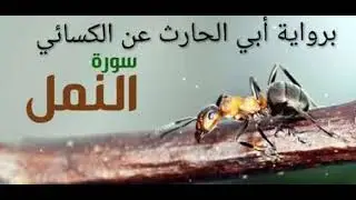سورة النمل الآيات (١ : ١٩) برواية أبي الحارث عن الكسائي
