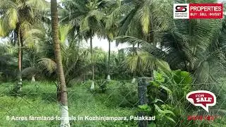 8 Acres farmland for sale in Kozhinjampara, Palakkad- SHAS 1027