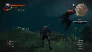 My first archgrifin...Level UNKNOWEN
