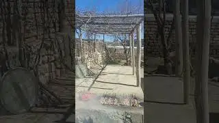 Barbecue grill, under the grape tree inside the village house#nature #barbecue #طبیعت #village