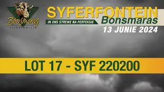 Lot 17 - SYF 220200