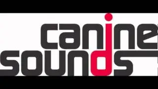 Lutzenkirchen Back In Time caninesounds Remix Spinout Records