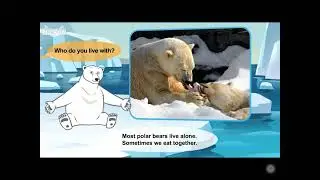 L2 046 Meet the Animals 46   Polar Bear