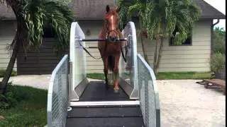 Horse treadmill by Kraft Horse Walkers