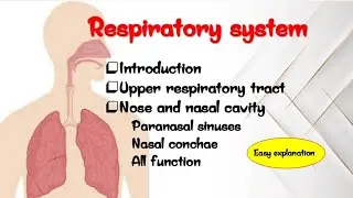 The Human Respiratory System | Full explanation | structure | Function |  nose & nasal cavity . 