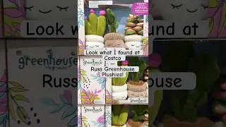 Super cute Greenhouse Plush Potted Plants 3 pack by Russ! 😍 #succulent #rubbertree #cactus #shorts