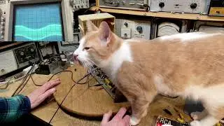 Canadian General Electric C67 Tube Radio Video #4 - Trouble Pinpointed?
