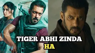 Tiger ka Massage || Tiger 3 Teaser Breakdown | Show Guardian