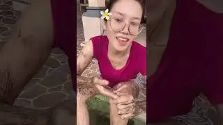 Live cewek  cantik cantik