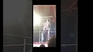 Lucky irani circus #,lucky irani circus 2022