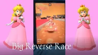 Peach (Happi)'s Item Smuggling
