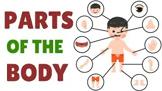 Parts of the Body | Kids Vocabulary | Learn Body Parts | Hands | Mouth | Eyes | Body Parts Names