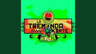 Mezcal