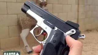 Daisy Model 93 BB gun shooting (S&W 659)