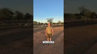 Ia tersesat dihutan #videoviral #ngakak #lucu