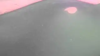 Ikan Rinua 12 SGT