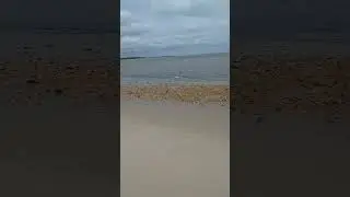 lonely walk on the Delaware Bay #beaches #beachwalks #beachsand  #peaceful