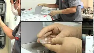 ISMAAR IECH te sorprender&aacute;n 2c
