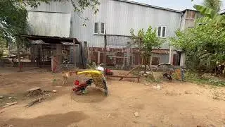 Vô mồi cho gà đón xuân