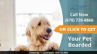 Pet Care: A Fantastic Discount In Atlanta!