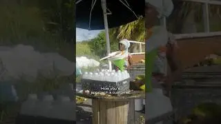 how to sell coconut water
