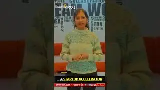 Do you Know: How 'Startup Accelerators work? - EnWoods.Com