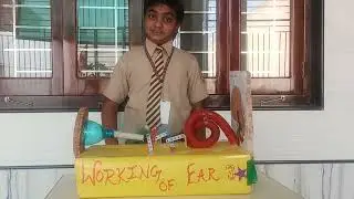 Ear working model #scienceproject #easyscienceexperimentsforkids #science #diy #bestscienceproject