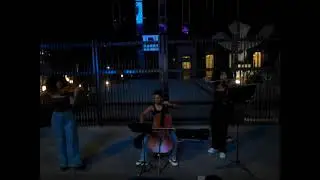 violinos