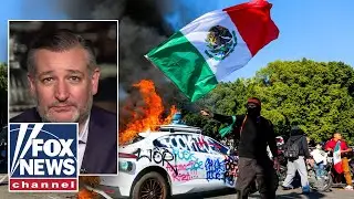 Sen Ted Cruz: The people funding violent protests are 'far more dangerous' than the mafia was