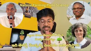 పిల్లలు కూడా తెలుసుకోవాల్సిన Natural Farming Plant Science | మొక్కకి మట్టి కి వున్న సంభందం |  Part 1
