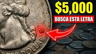 Busca la 