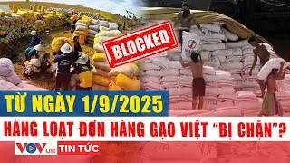 Thị trường gạo rung chuyển v&igrave; động th&aacute;i từ Philippines