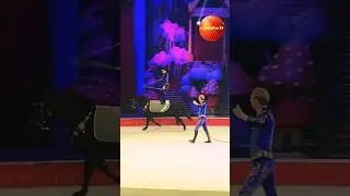 Horse circus part 2 🤯🔥#circus #shortsfeed #shorts #trending