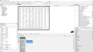 Connecting to Oracle Database Server Using FireDAC