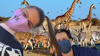 Going to an African wildlife nature reserve..:)