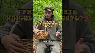 Срезать или выкручивать? Как отвечают главные микологи мира на этот вопрос 🍄🔪✋