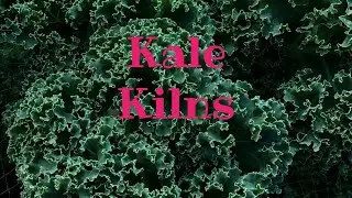 Kale Container Gardening
