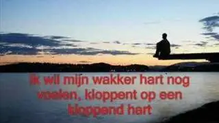 Wende Snijders - La solitude (NL versie)