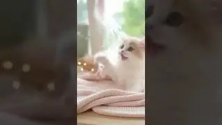 CuteCat#cat#funny#funnycats#cute#ai#ねこ#고양이#gato#Katze#gatto#кошка#gato#میو #แมว#m&egrave;o#قط#बिल्ली#