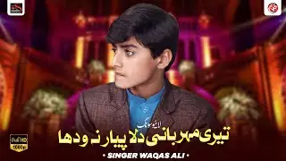 Teri Maherbani Dila Payar Na Wadha | Singer Waqas Ali