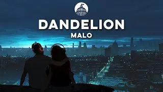 MALO - Dandelion