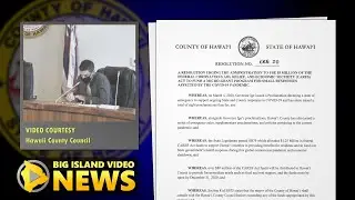 Hawaii Small Businesses In Dire Need Of Help (July 8, 2020)