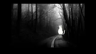 Haunted Series : La Llorona / Sihuanaba