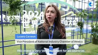 GLOBALink | Overseas industry insiders comment on Chinese brands going global