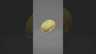 spinning mushroom #spin #spinning #spinner #weirdandfunny #funnyvideos #foryou #meme
