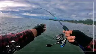 Bikin KAGET ! Mancing pinggiran laut karang dangkal || Capung 762 Mini popper ultralight