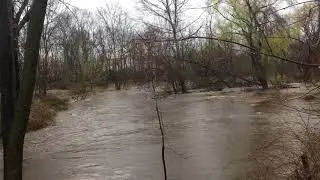 Singac Brook Overflowing
