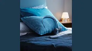 Sleepful Restful Harmony Layers